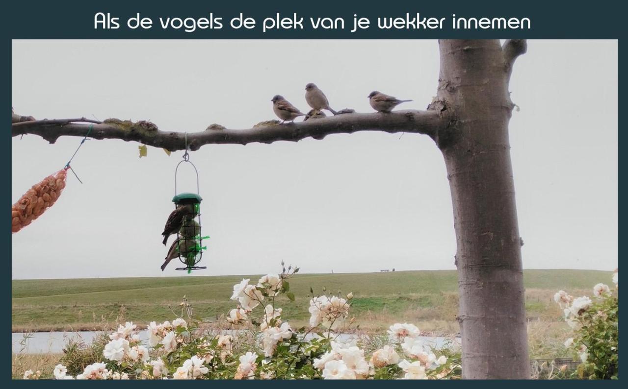 Vakantiewoning Deltahof Ellewoutsdijk Kültér fotó