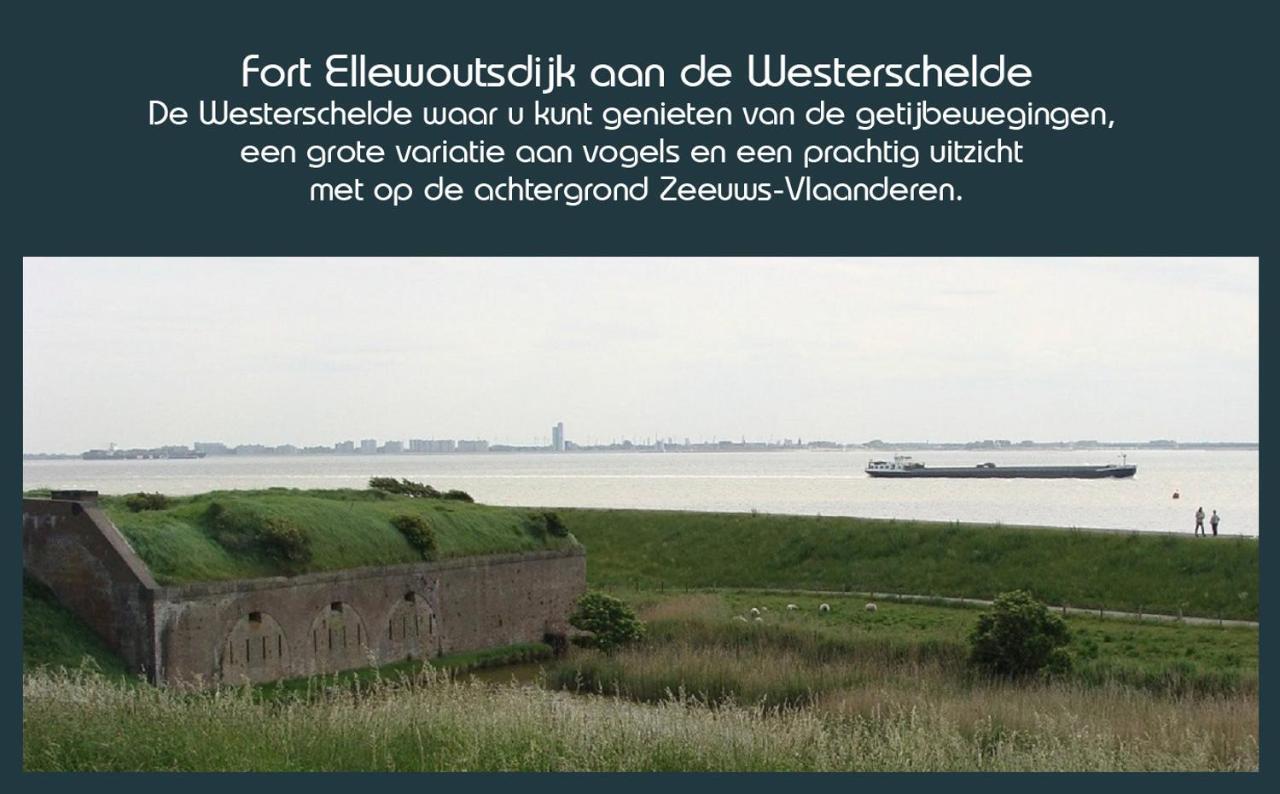 Vakantiewoning Deltahof Ellewoutsdijk Kültér fotó