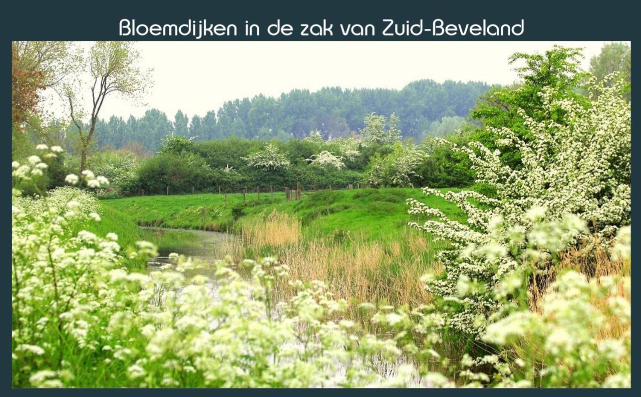 Vakantiewoning Deltahof Ellewoutsdijk Kültér fotó