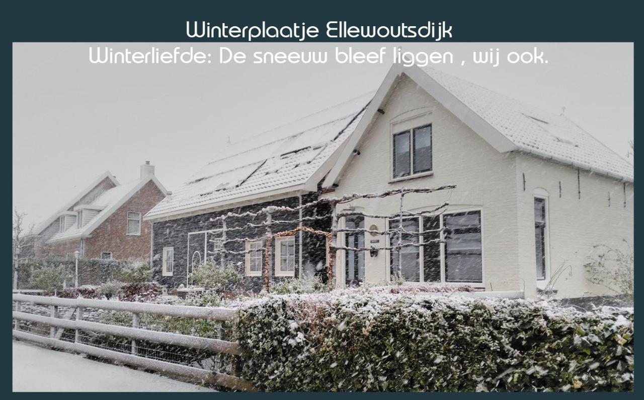 Vakantiewoning Deltahof Ellewoutsdijk Kültér fotó