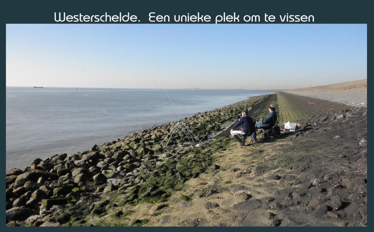 Vakantiewoning Deltahof Ellewoutsdijk Kültér fotó